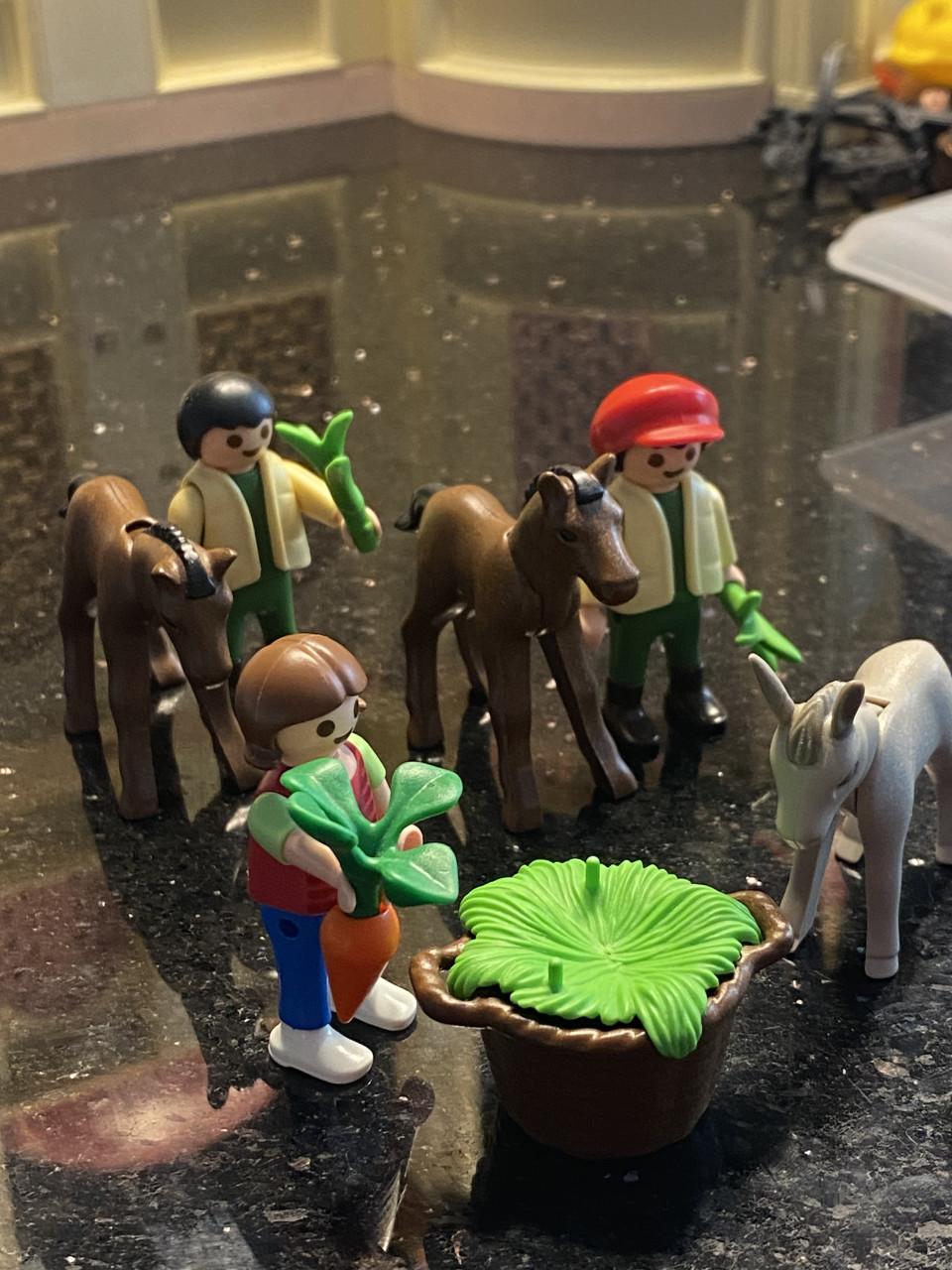 Playmobil jongetjes met paarden en meisje met ezel