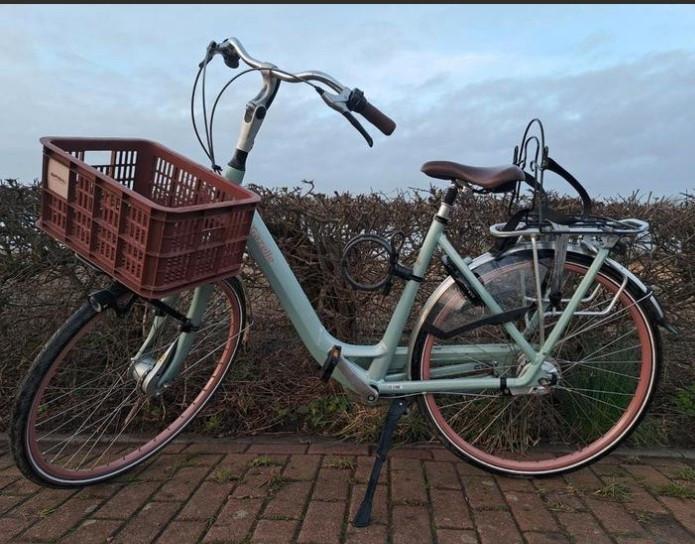 Gazelle Orange C7+ Damesfiets - Framemaat 53 8 versnellingen