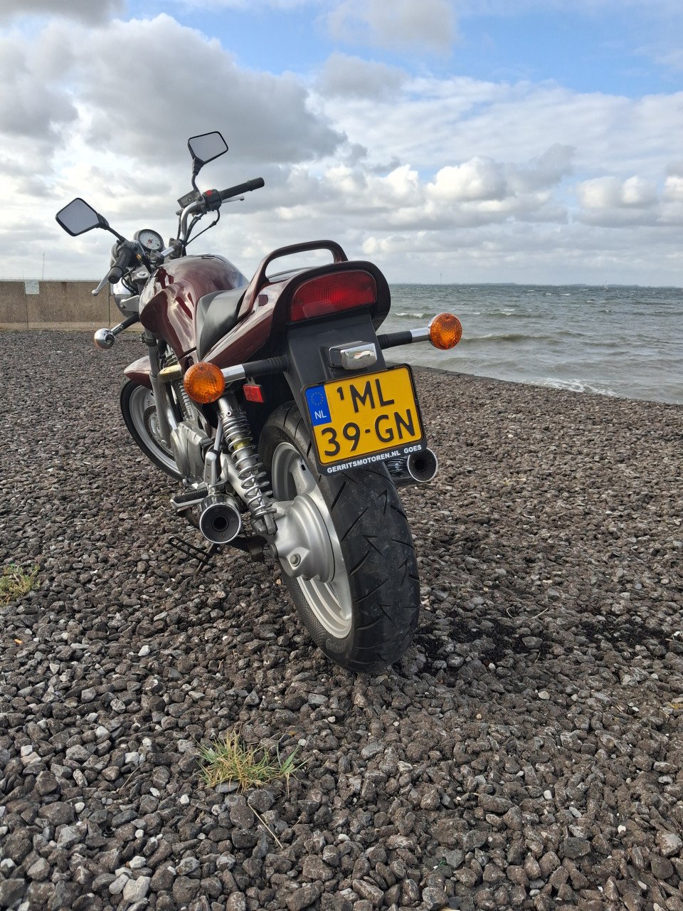 Suzuki  vx 800