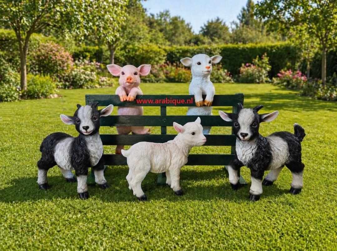 Baby bokjes big geit lammetje enz