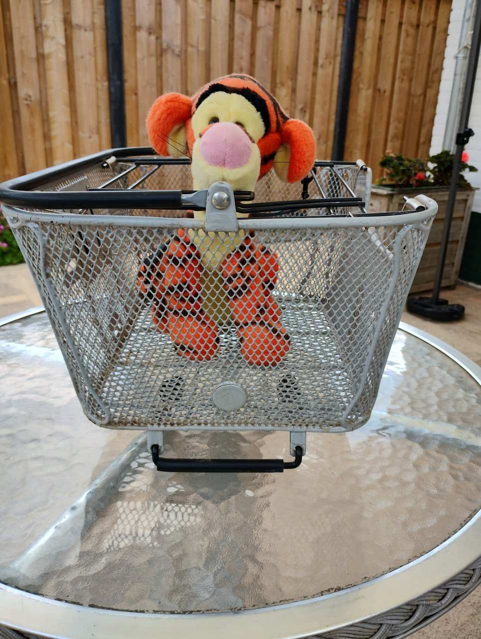 Fietsmand hondje