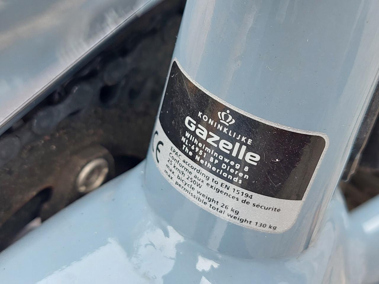 Gazelle Chamonix T10 grey/blue 53