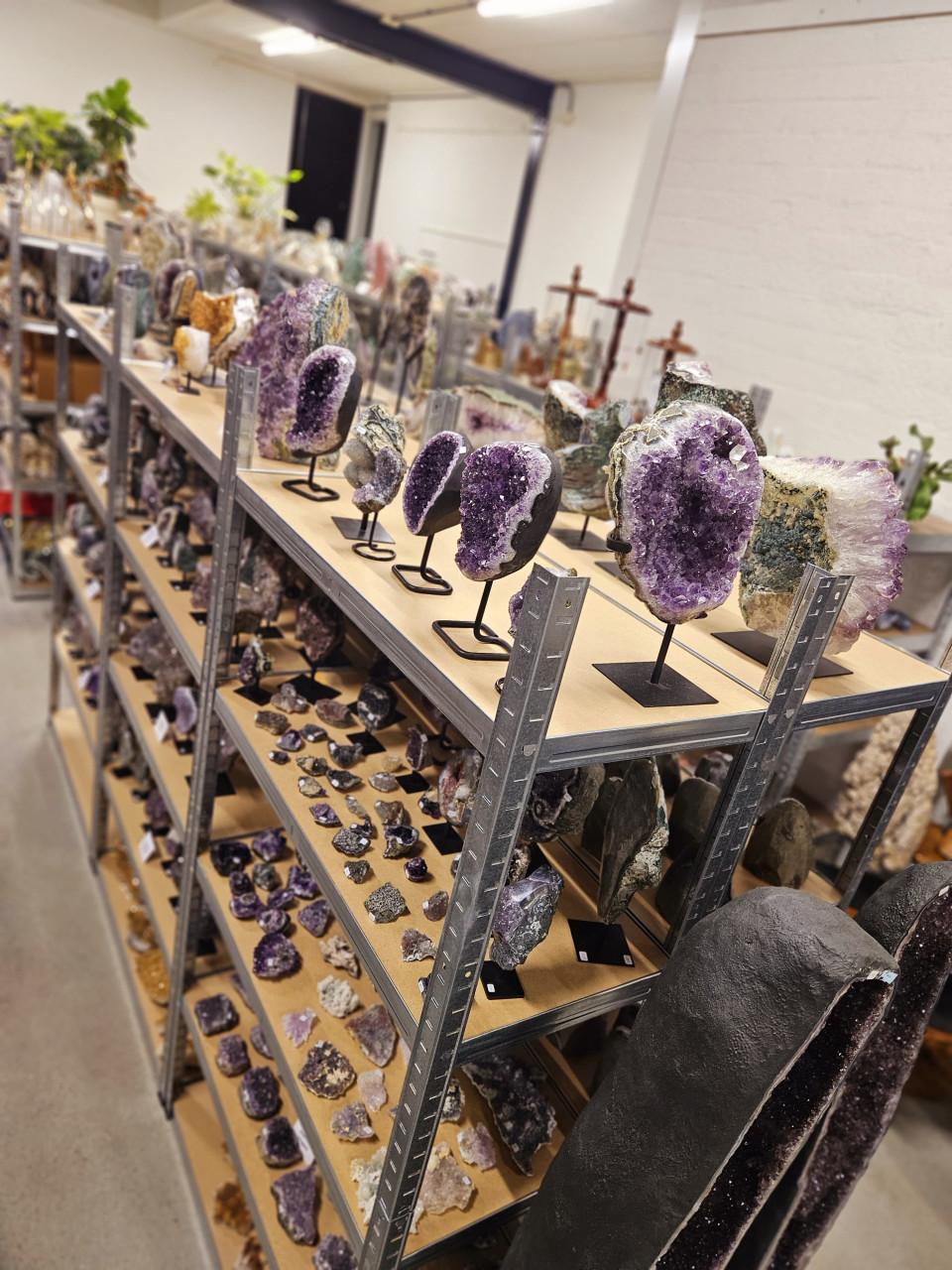 Belevingsdag 15 maart 2026