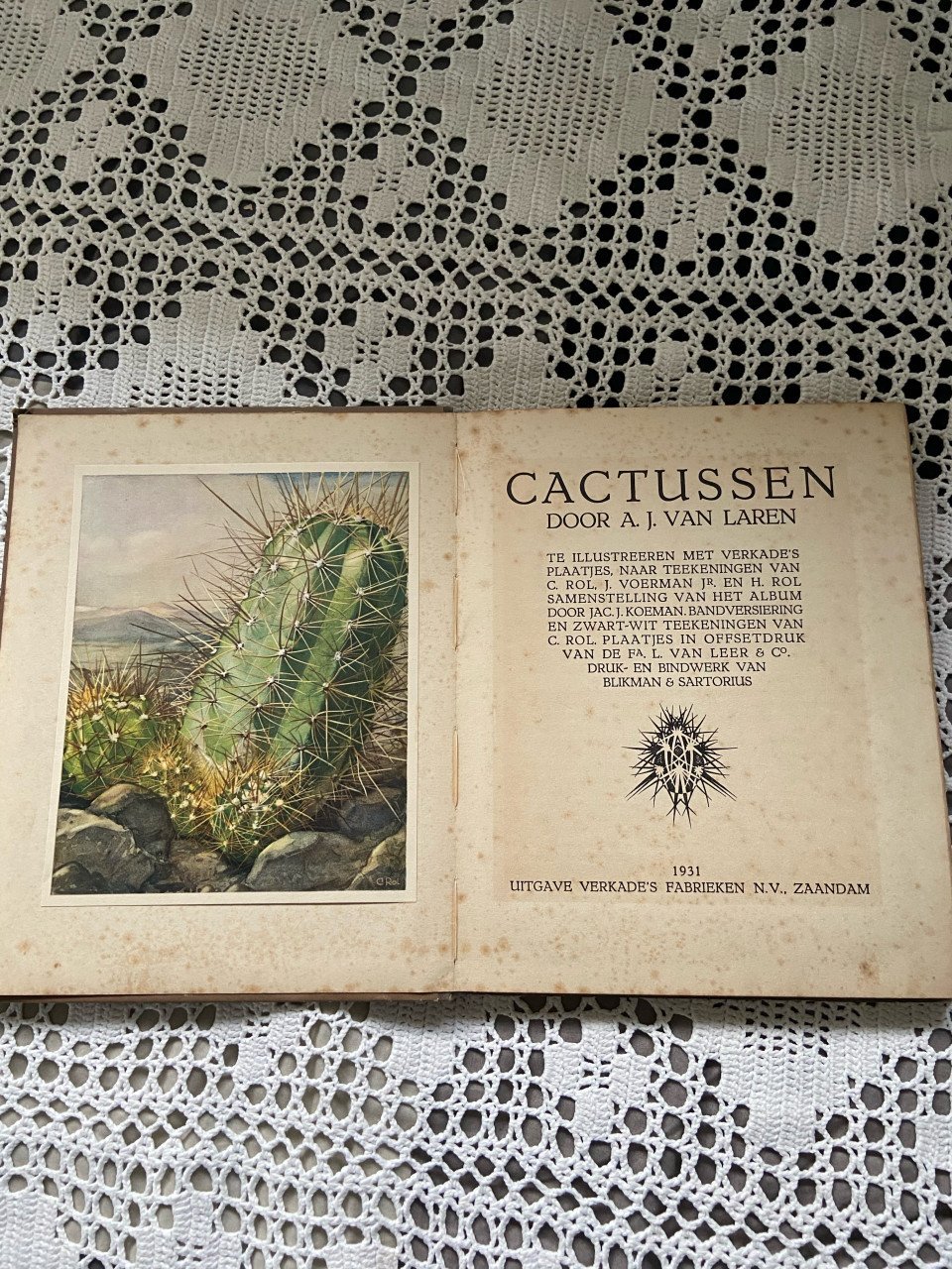 Cactussen Verkade boek 1931 compleet
