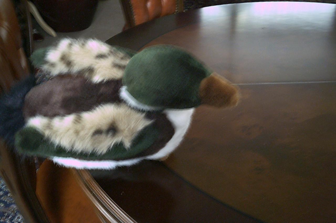NIEUWE KNUFFEL . . .