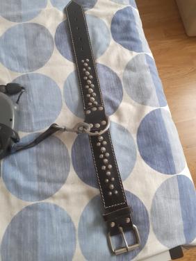 Halsband  en rollijn