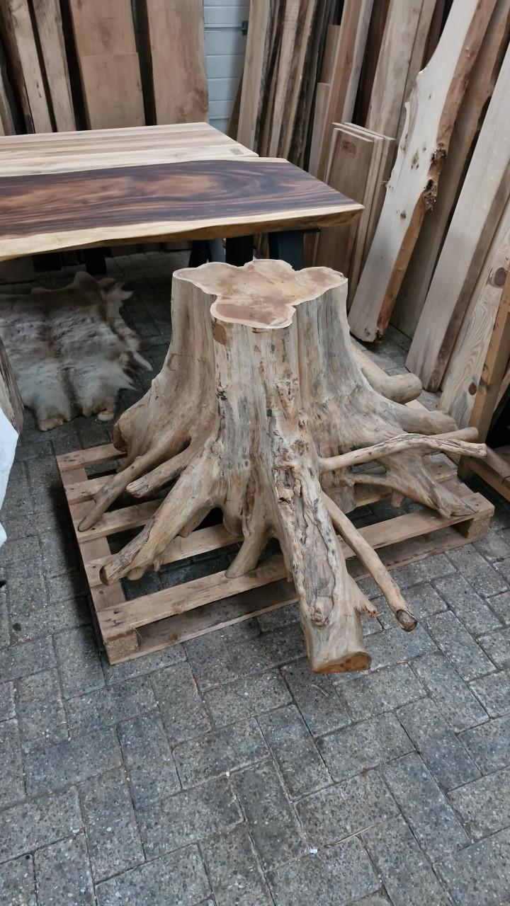 Boomstam wortel al onderstel eventueel ook met boomstam schijf