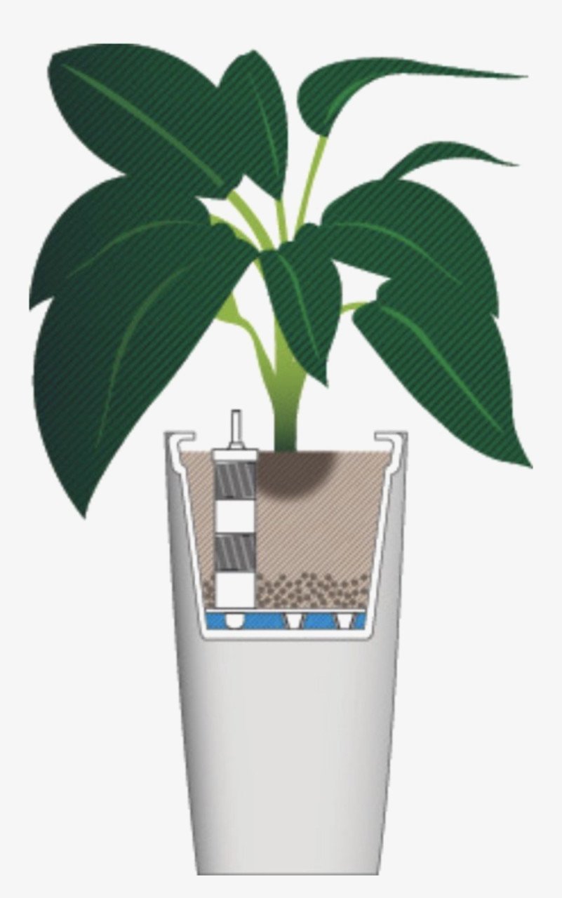 Bloempot