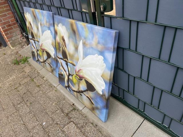 2 Fotolijsten op canvas