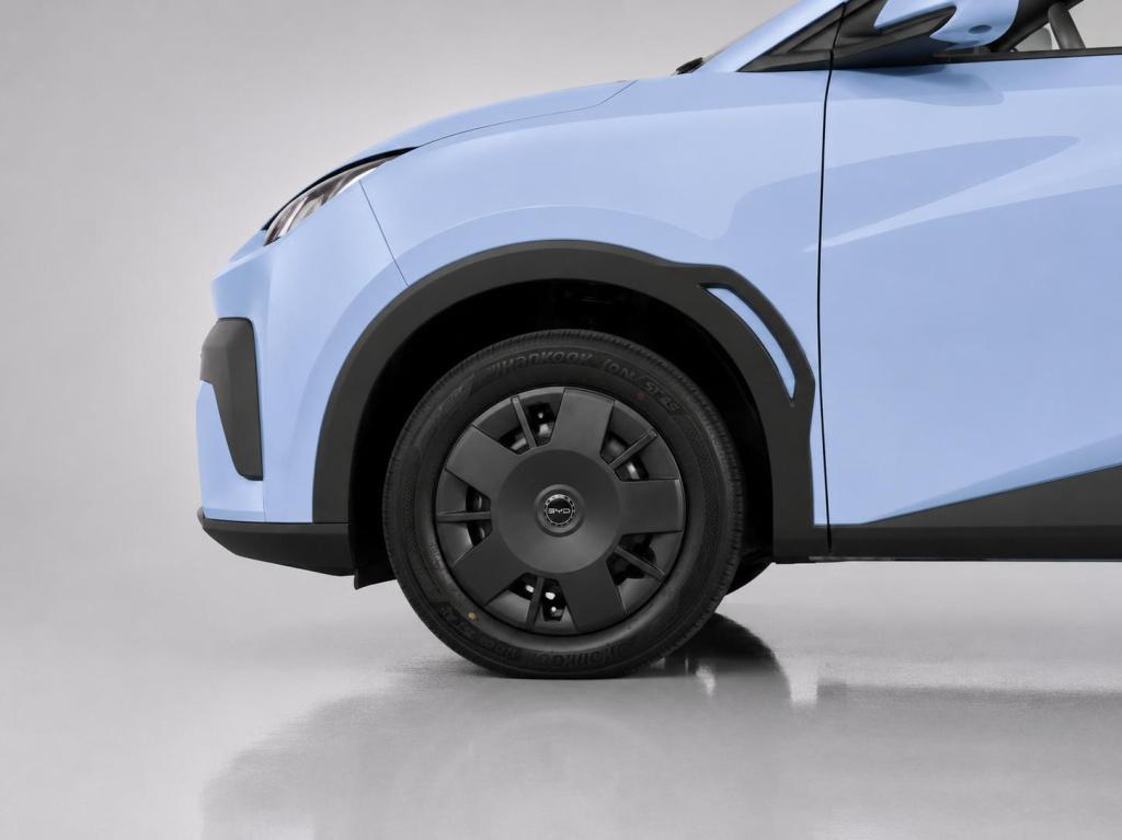 Byd Dolphin Surf active 30 kwh