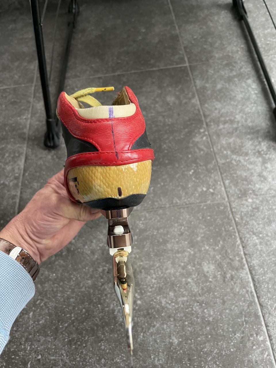 Viking Gold maat 43 met Maple Twin laser T-bone klapschaatsen