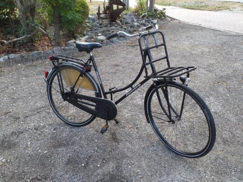 """""MOOIE OMAFIETS POINTER GLORIA IN PRIMA STAAT""""