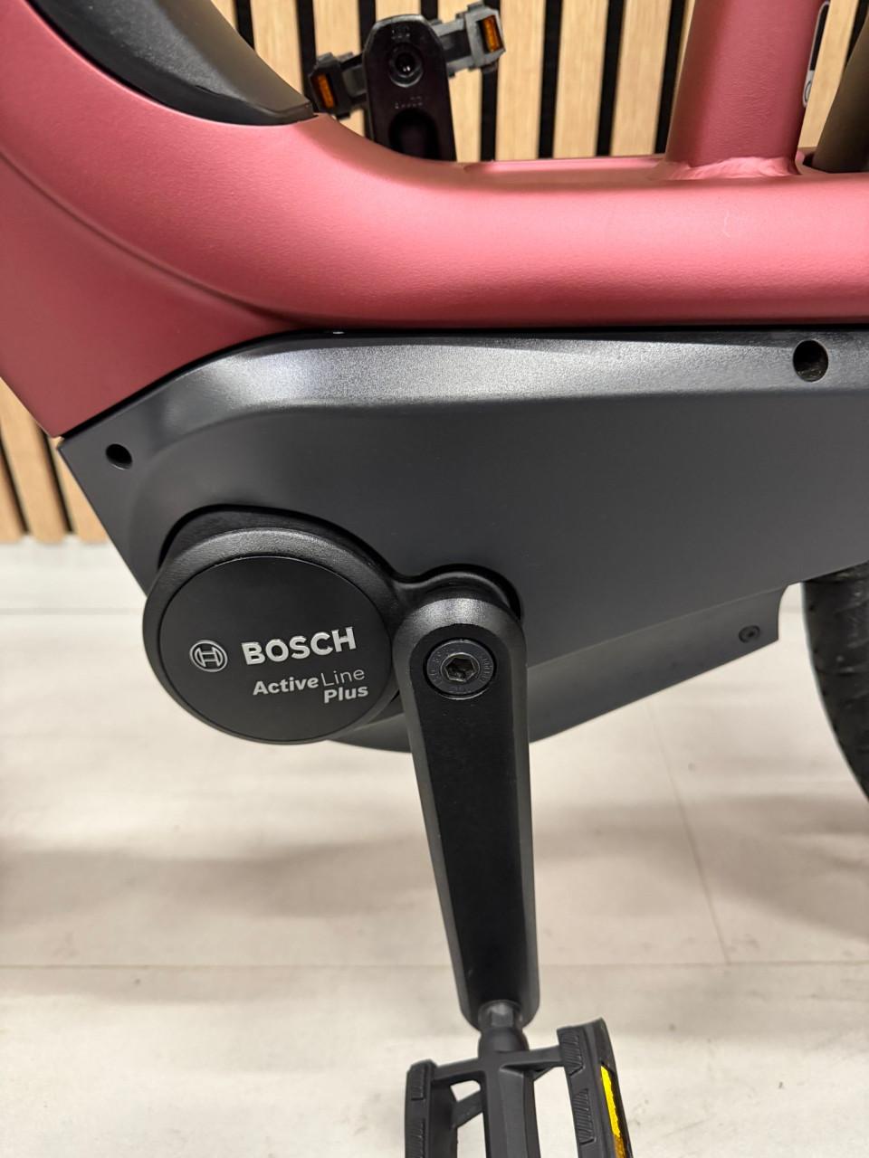 Gazelle Avignon Bosch Active Line Plus 625Wh 53CM 6034KM