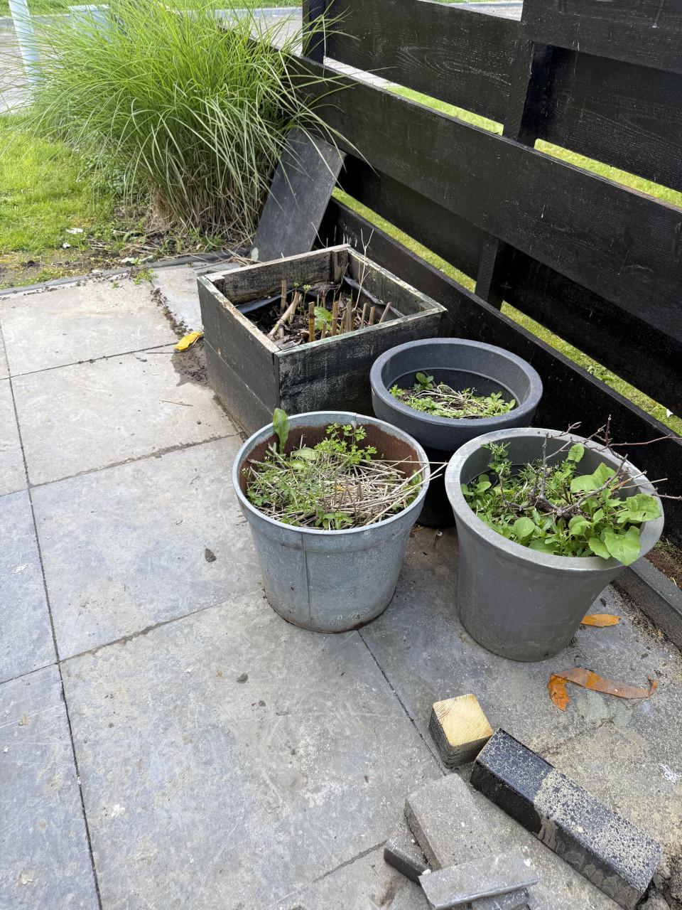 Gratis bloempotten