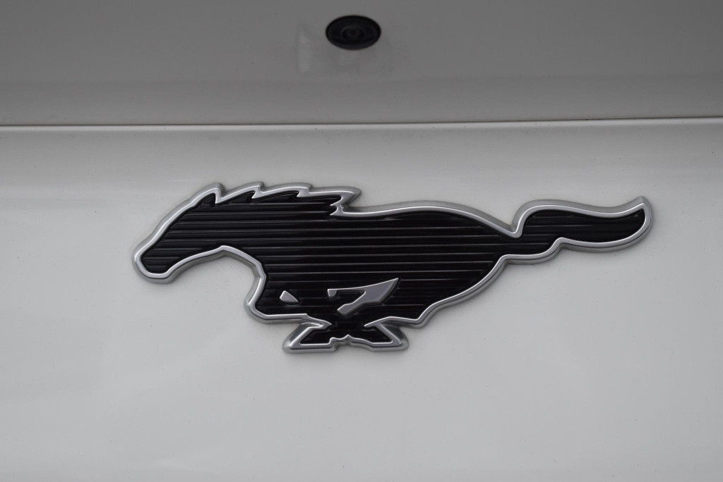 Ford Mustang Mach-e rwd 75 kwh | climate control | adaptieve cruise control