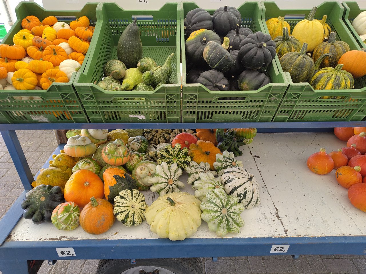 Pompoenen en kalebassen