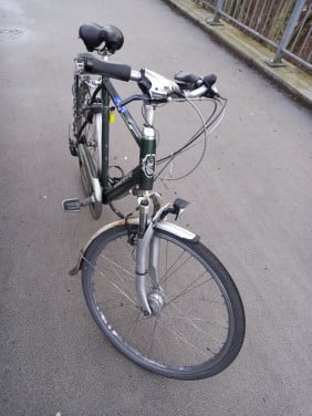 GAZELLE HERENFIETS
