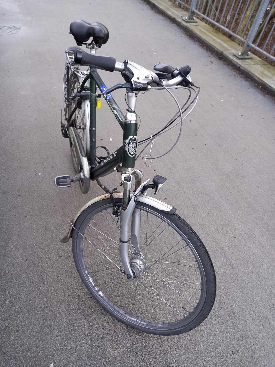 GAZELLE HERENFIETS