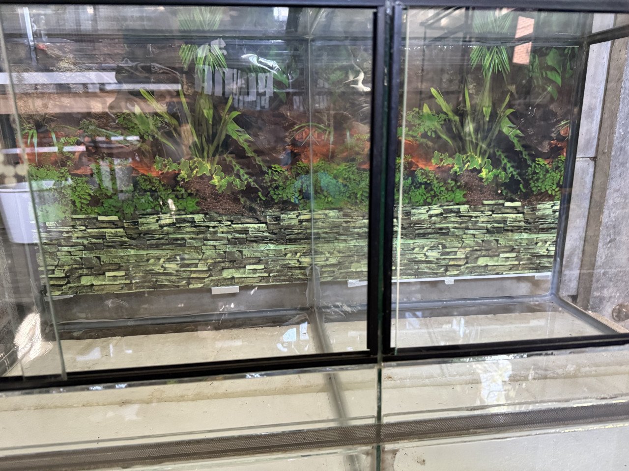 Stelling met 4+2 terrariums en toebehoren (zie omschrijving).