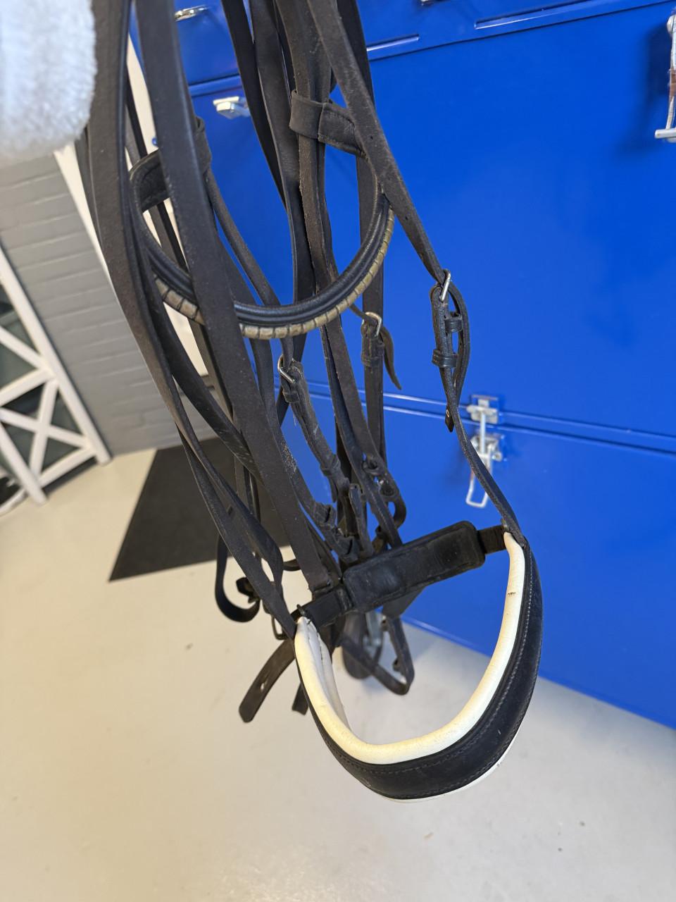 Dressuur zadel KN + hoofdstel Passier (stang en trens)