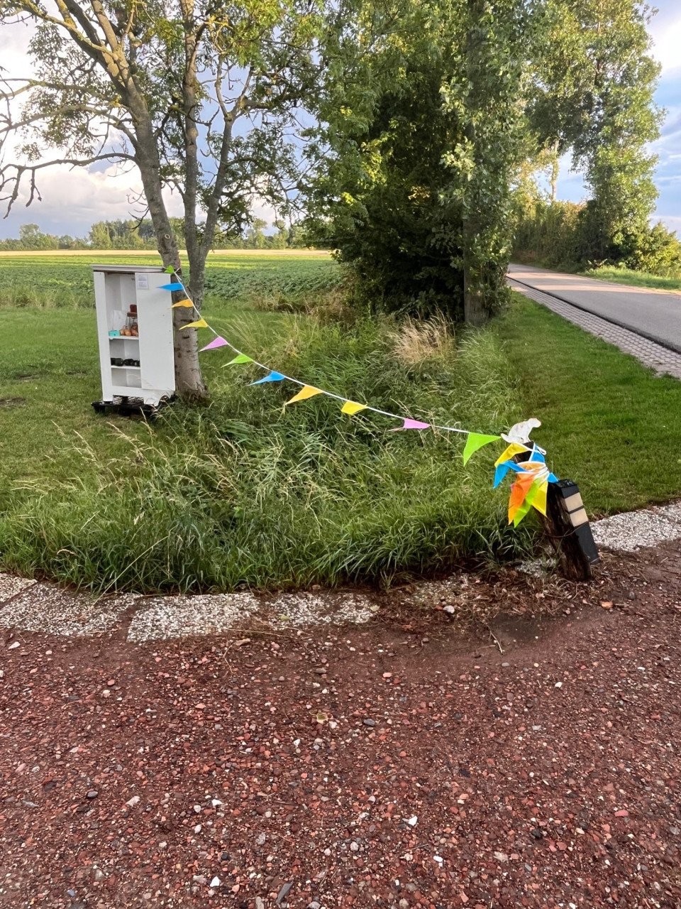 Groente uit eigen tuion