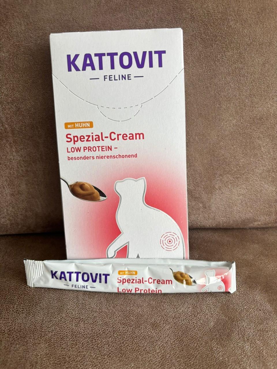 Dierenvoeding kat