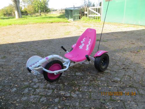 Triker Lady Rocker