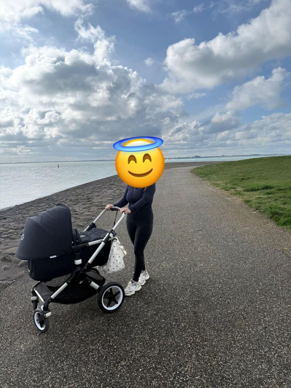 Bugaboo fox