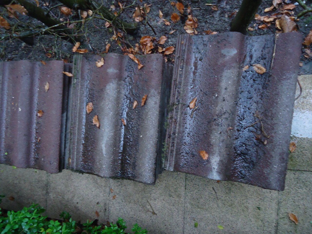 Sneldekkers