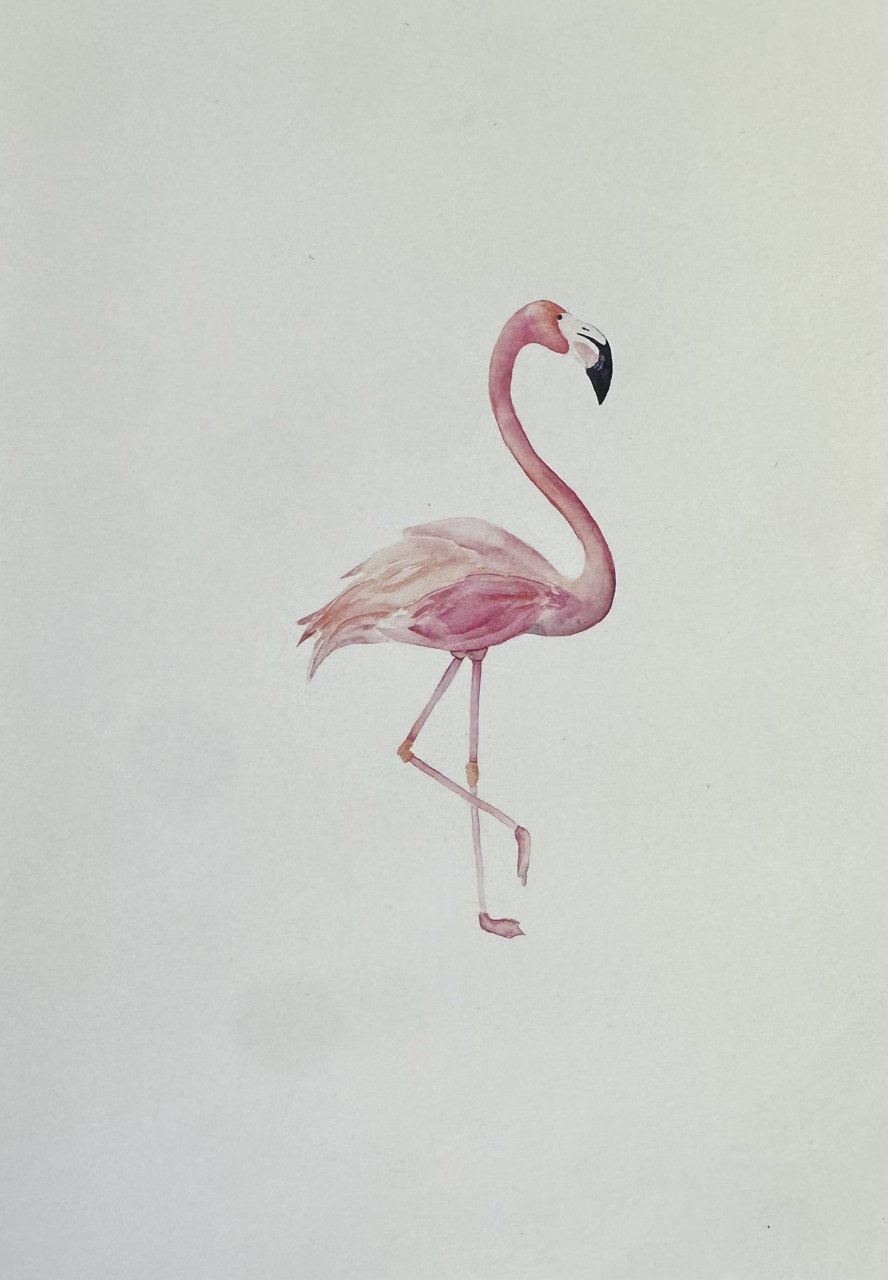 Vijf posters (wereldkaart, flamingo, bloem en quotes)
