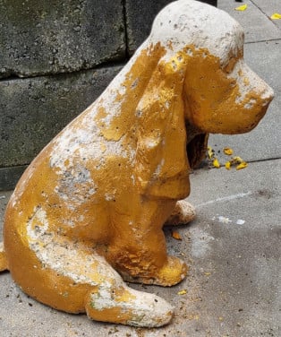 Beeld (HOND)