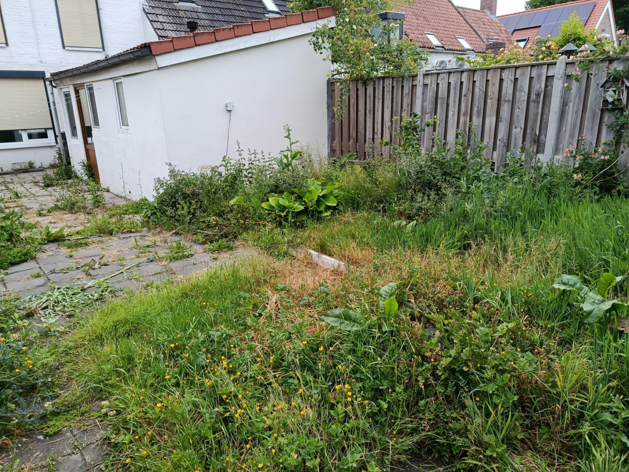 Onkruid verwijderen