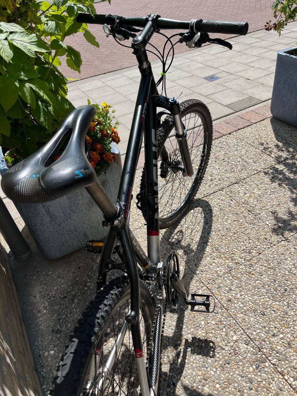 Focus MTB
