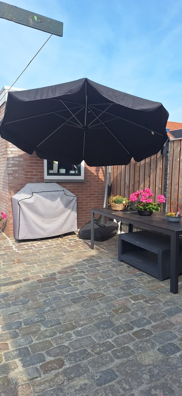 Parasol