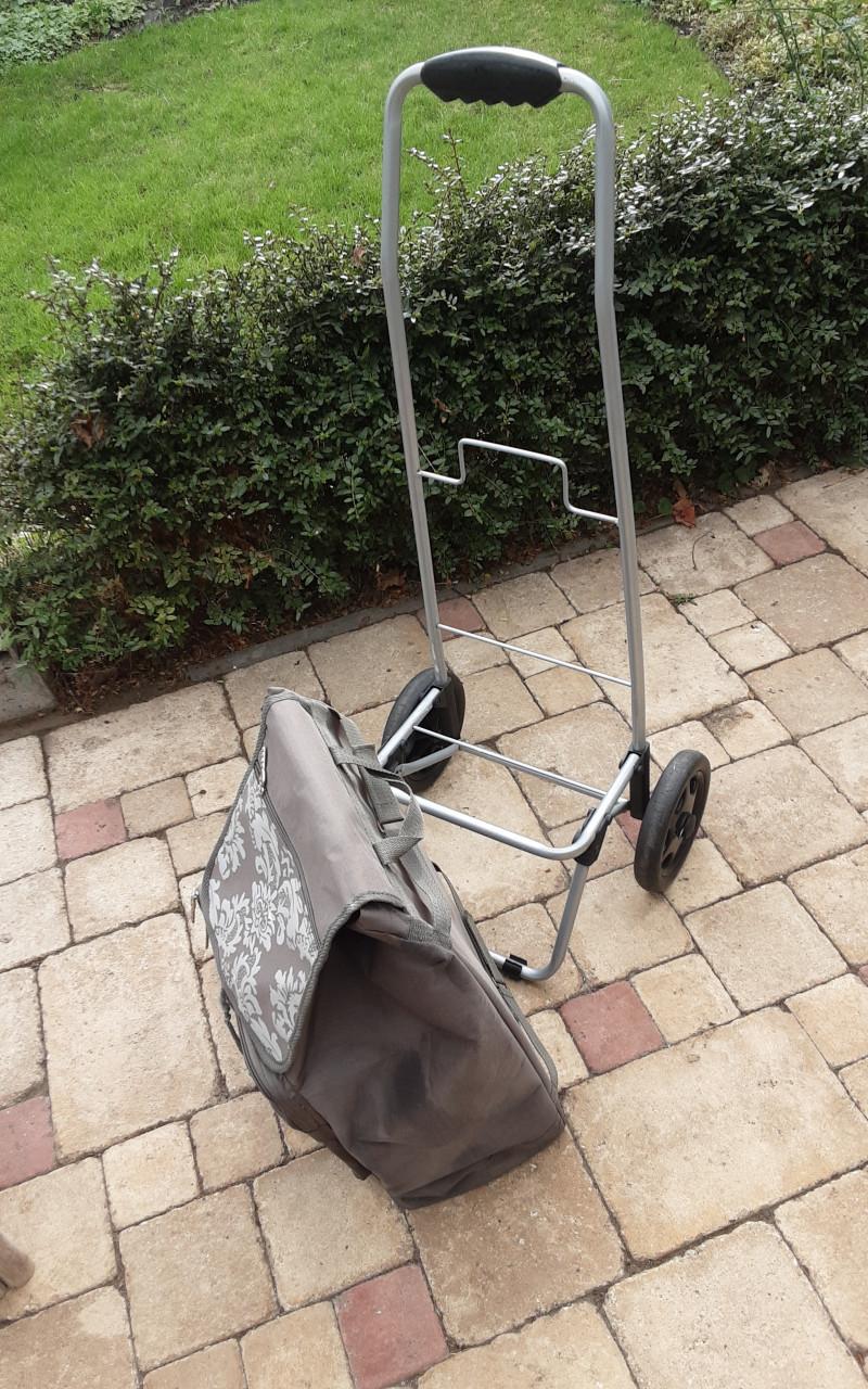 Boodschappen wagentje met afneembare tas