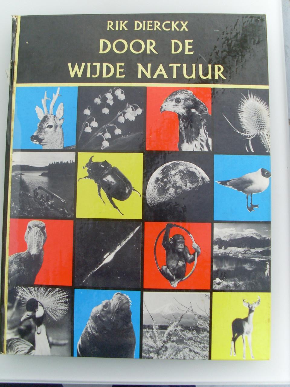 Rik Dierckx Door de wijde natuur 6