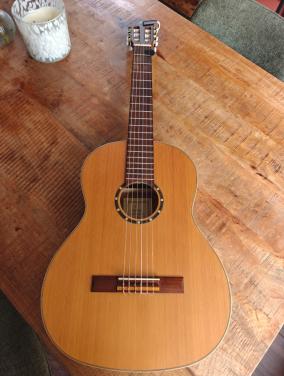 Gitaar ortega family pro r131
