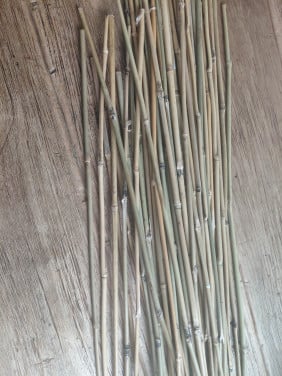 Bamboe stokken, 60 cm