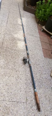 Te koop lange vishengel met molen €20,-