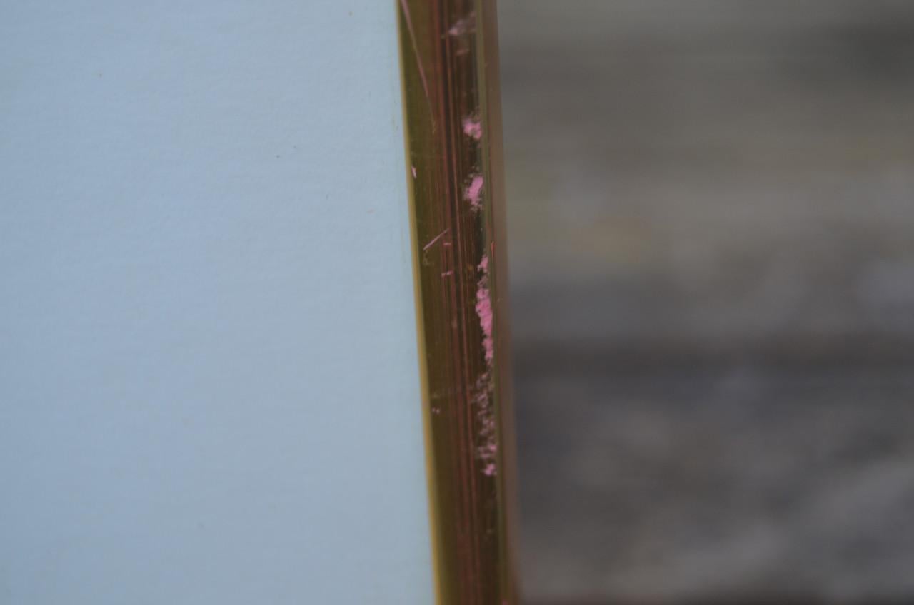 Gravure 19e eeuws van een specht, wel mooi eigenlijk