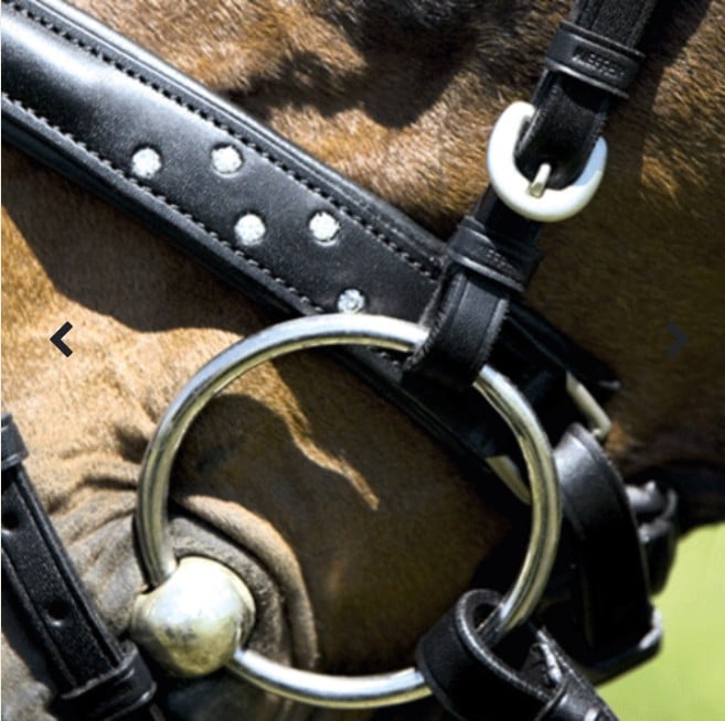Kieffer neusriem bling