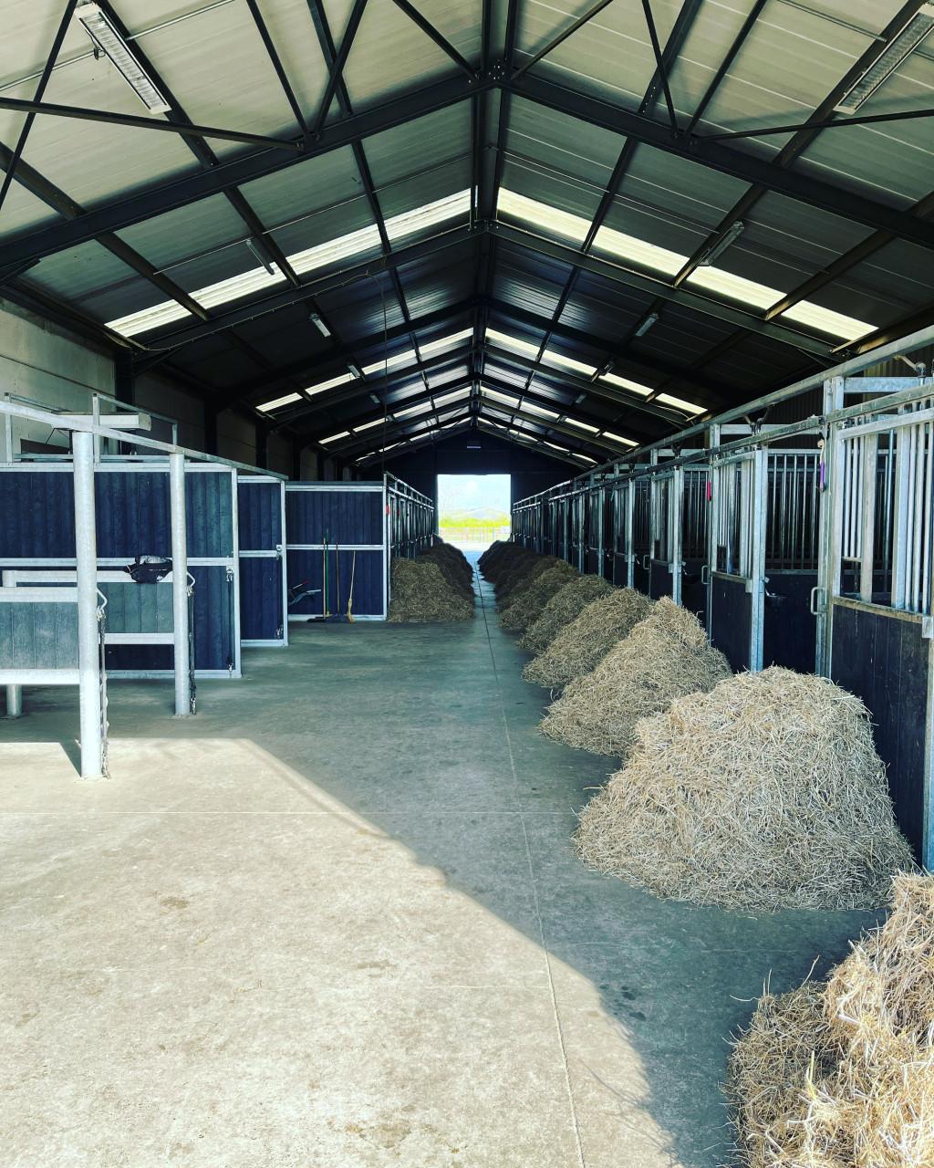 Paardenstalling per direct