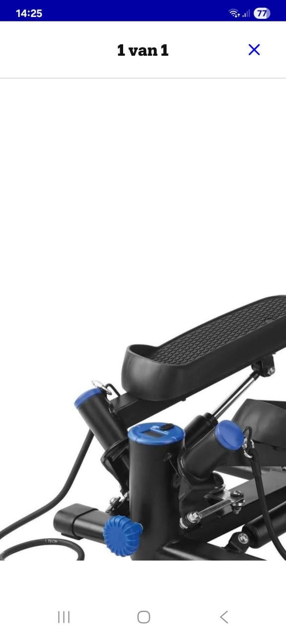 CRIVIT Swing Stepper