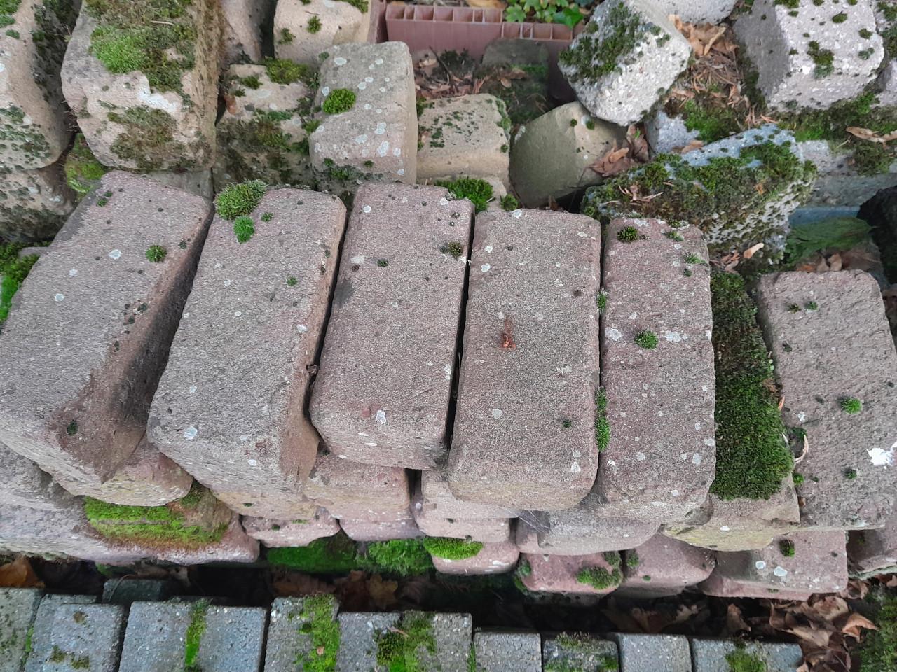 GRATIS partij beton straatstenen en overige straatstenen