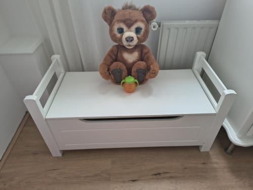 Speelgoedkist