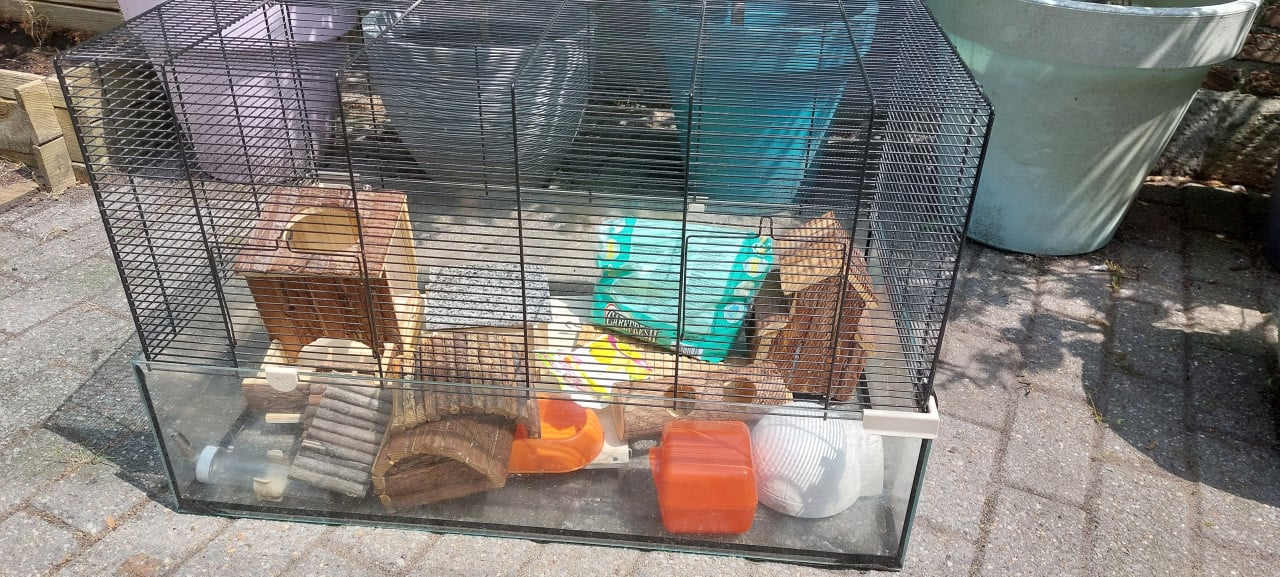 Hamsterkooi