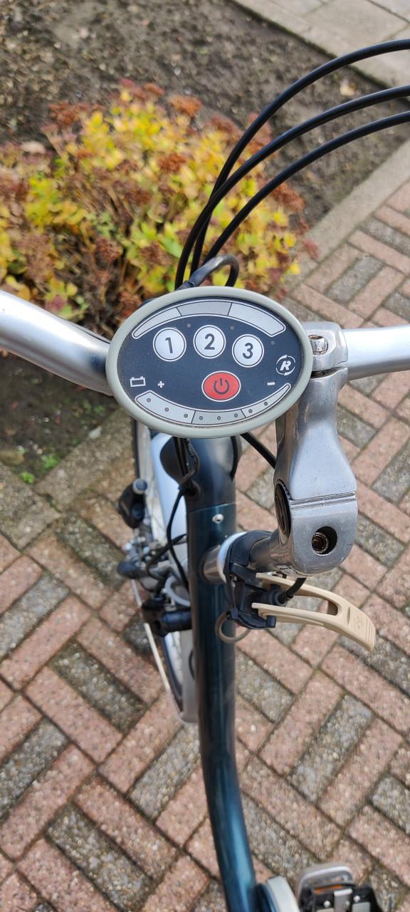 VanRaam driewielfiets maxi met ondersteuning