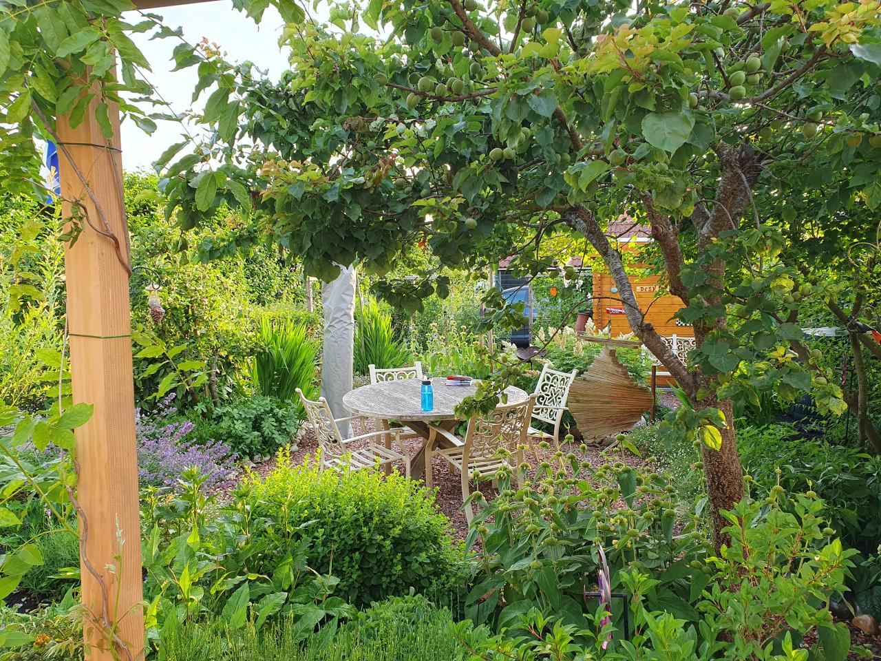 Vakbekwaam hovenier voor tuinonderhoud