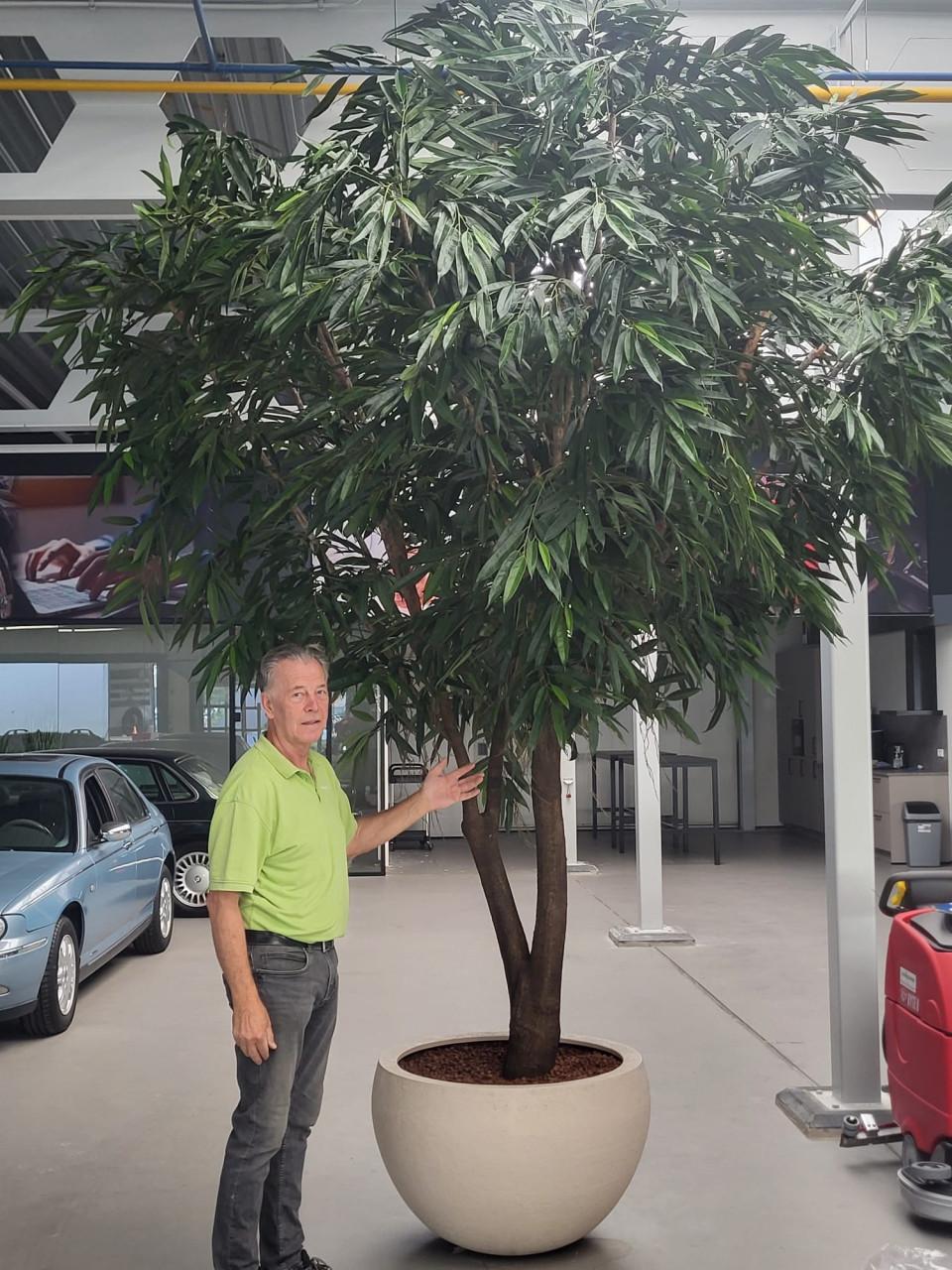 ZIJDE KUNSTPLANTEN BOMEN EN BLOEMEN