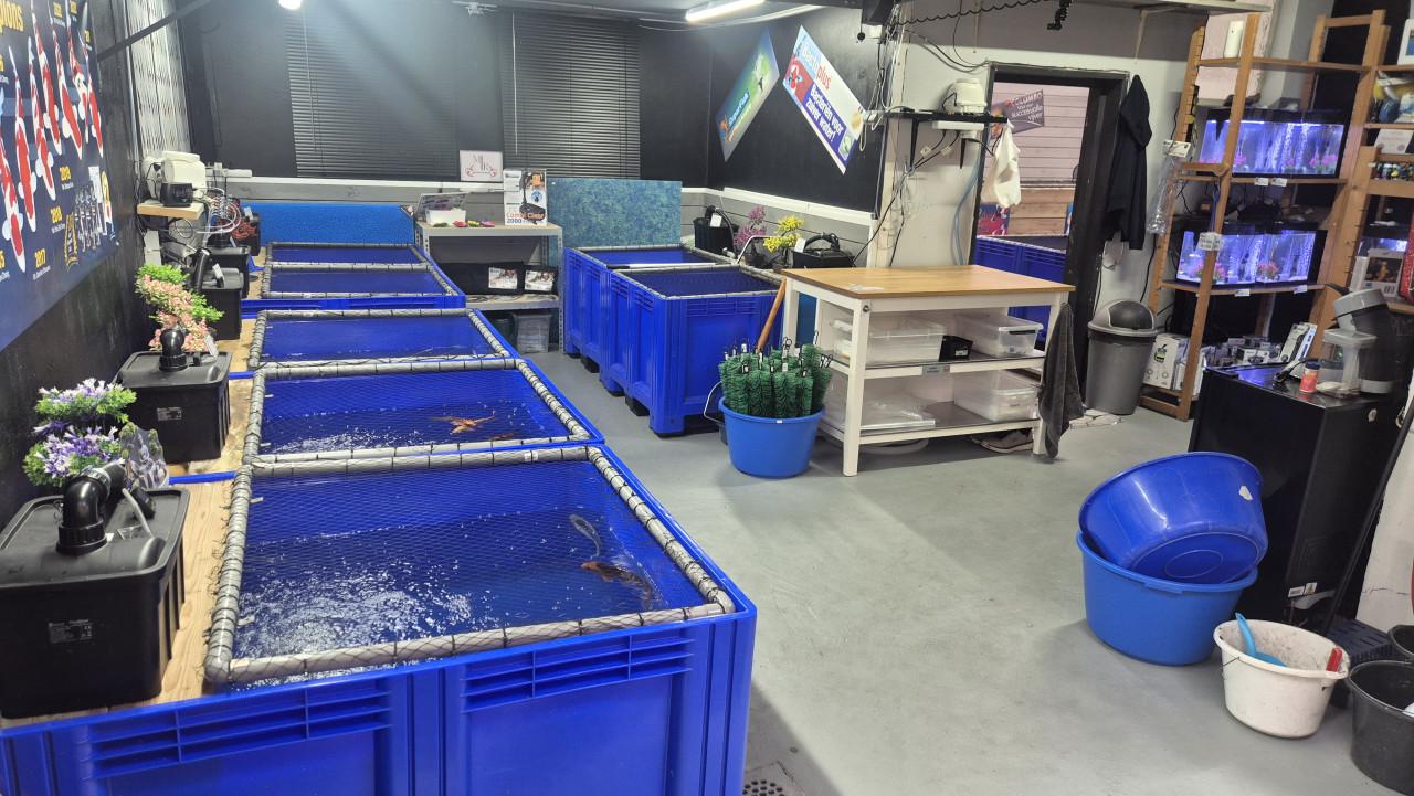 Diverse vijverspullen